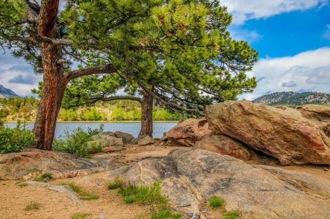Quiet In The Pines - Permit #3120 Lägenhet Estes Park Exteriör bild